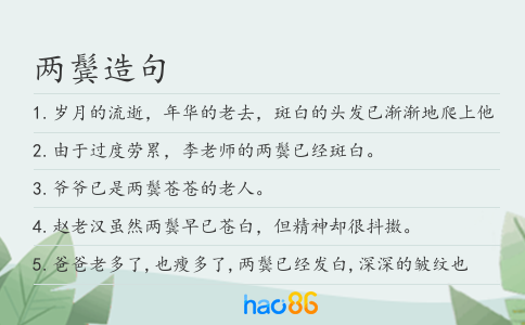 两鬓造句