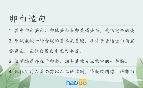 卵白造句
