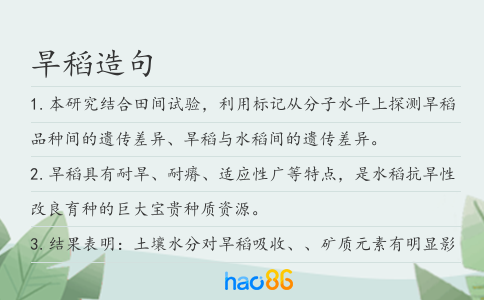 旱稻造句