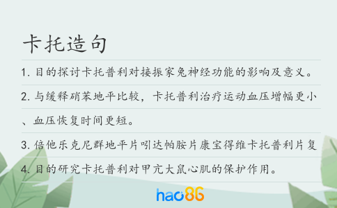 卡托造句