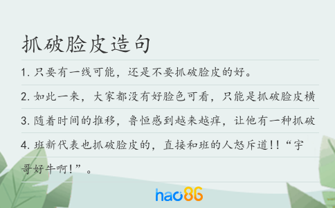 抓破脸皮造句