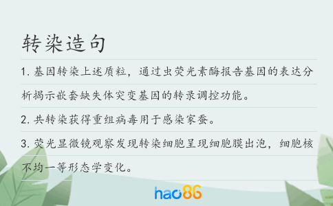 转染造句