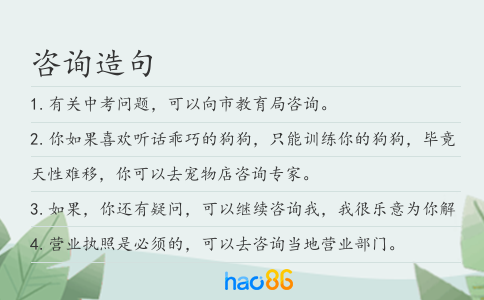咨询造句