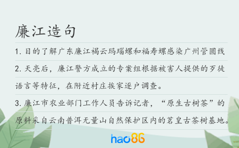 廉江造句