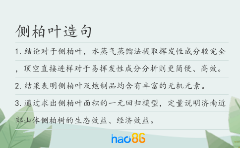 侧柏叶造句