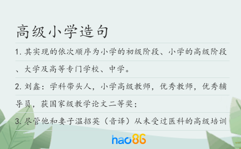 高级小学造句