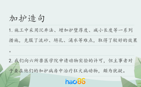 加护造句