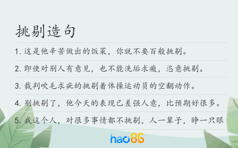 挑剔造句