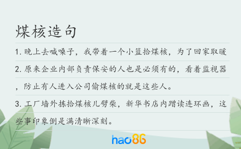 煤核造句