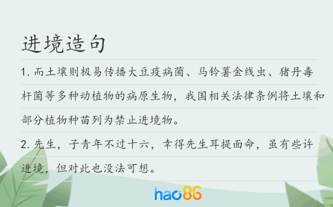 进境造句