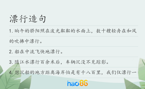 漂行造句