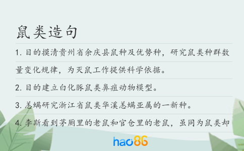 鼠类造句