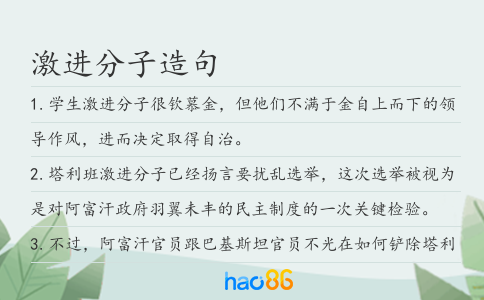 激进分子造句