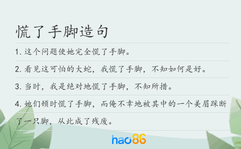 慌了手脚造句