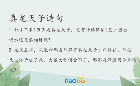 真龙天子造句