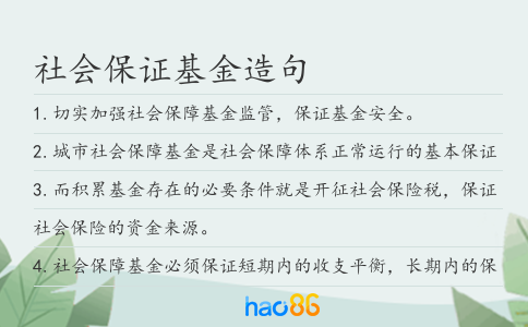 社会保证基金造句