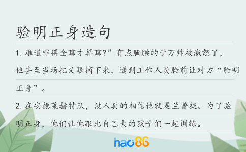 验明正身造句