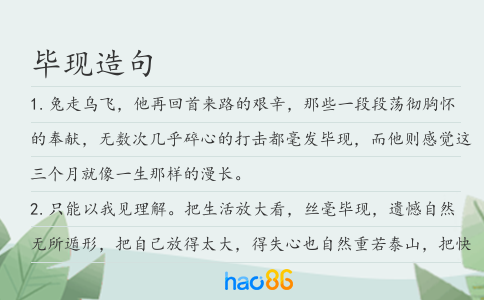 毕现造句