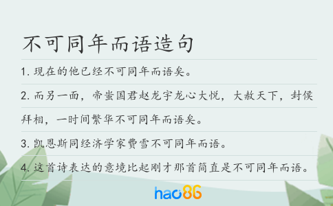 不可同年而语造句