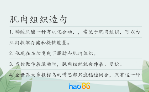 肌肉组织造句