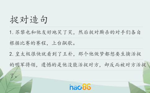 捉对造句