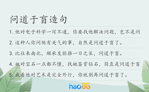 问道于盲造句