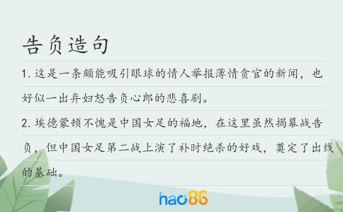 告负造句