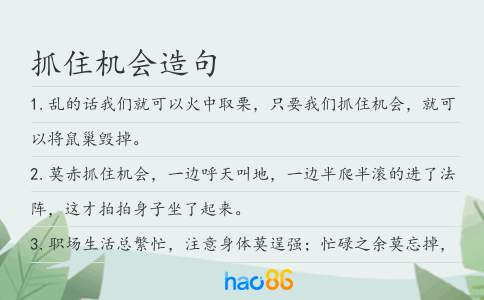 抓住机会造句