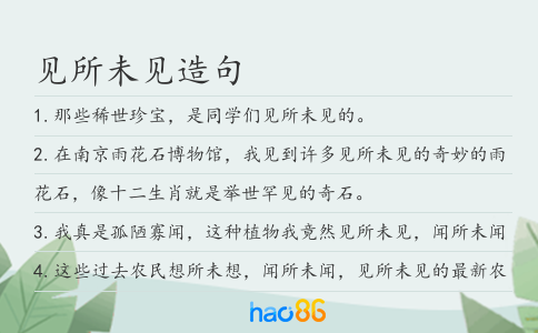 见所未见造句