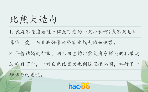 比熊犬造句