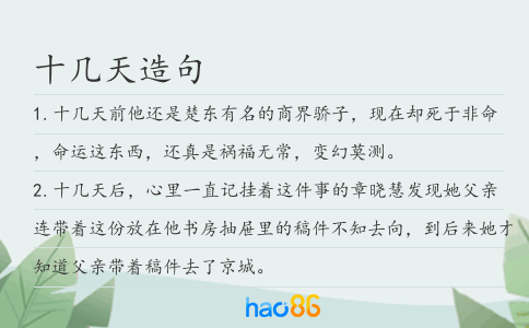 十几天造句
