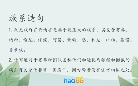 族系造句