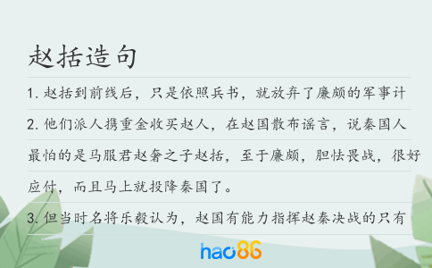 赵括造句