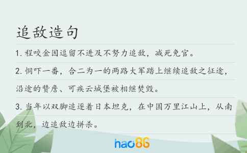 追敌造句