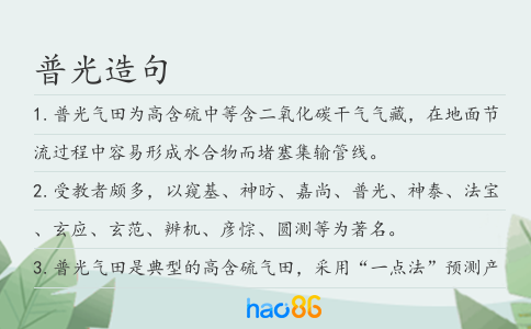 普光造句