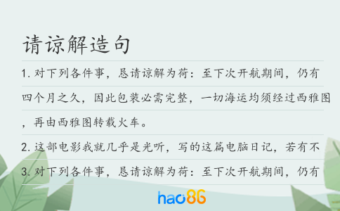 请谅解造句