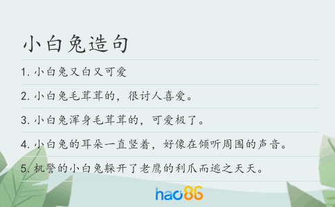 小白兔造句
