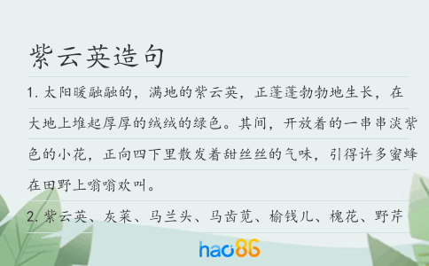 紫云英造句