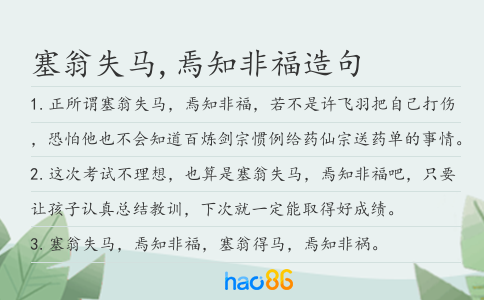 塞翁失马,焉知非福造句
