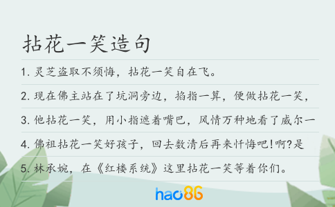 拈花一笑造句