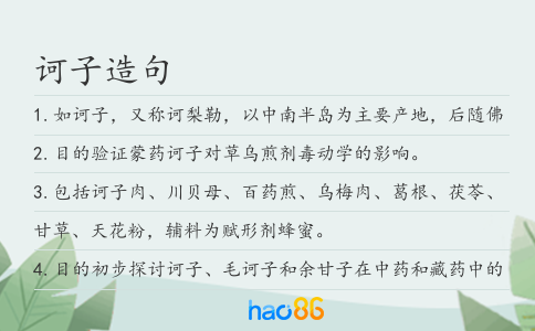 诃子造句