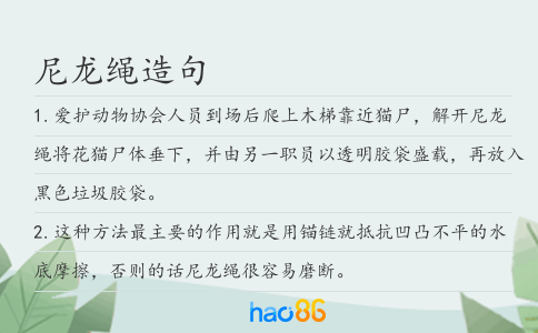 尼龙绳造句