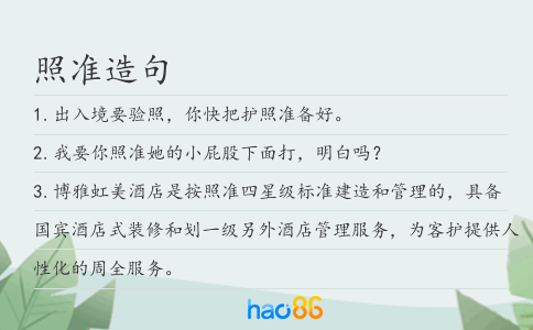 照准造句