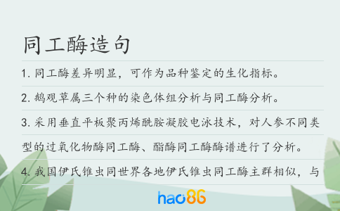 同工酶造句