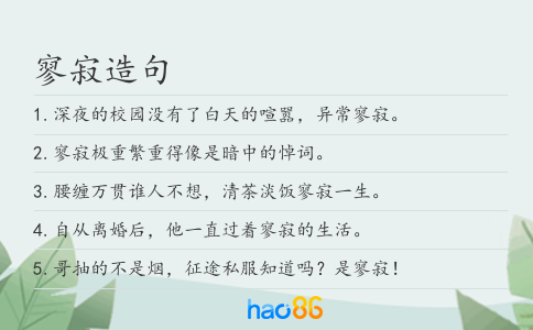 寥寂造句
