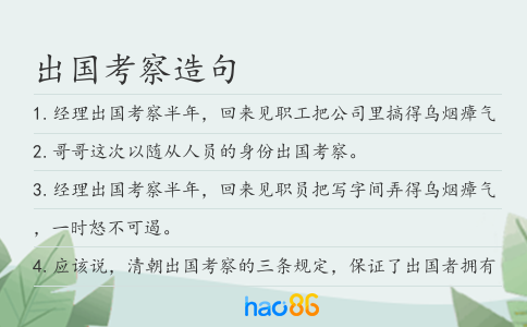 出国考察造句