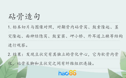 砧骨造句