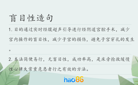 盲目性造句