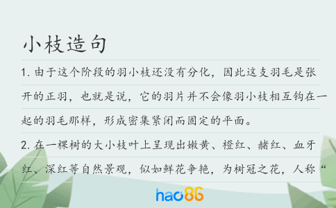 小枝造句