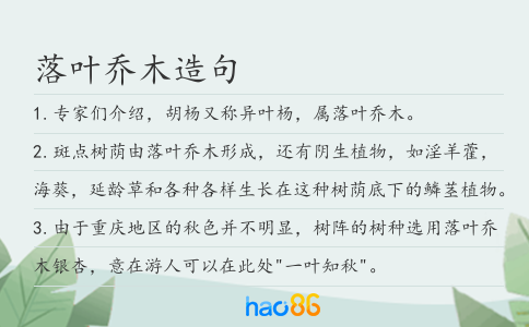 落叶乔木造句